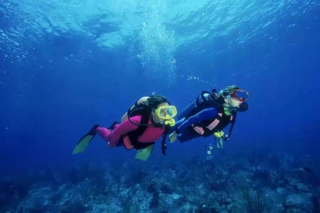 电磁炉使用什么炒锅或汤锅最好？游戏画面