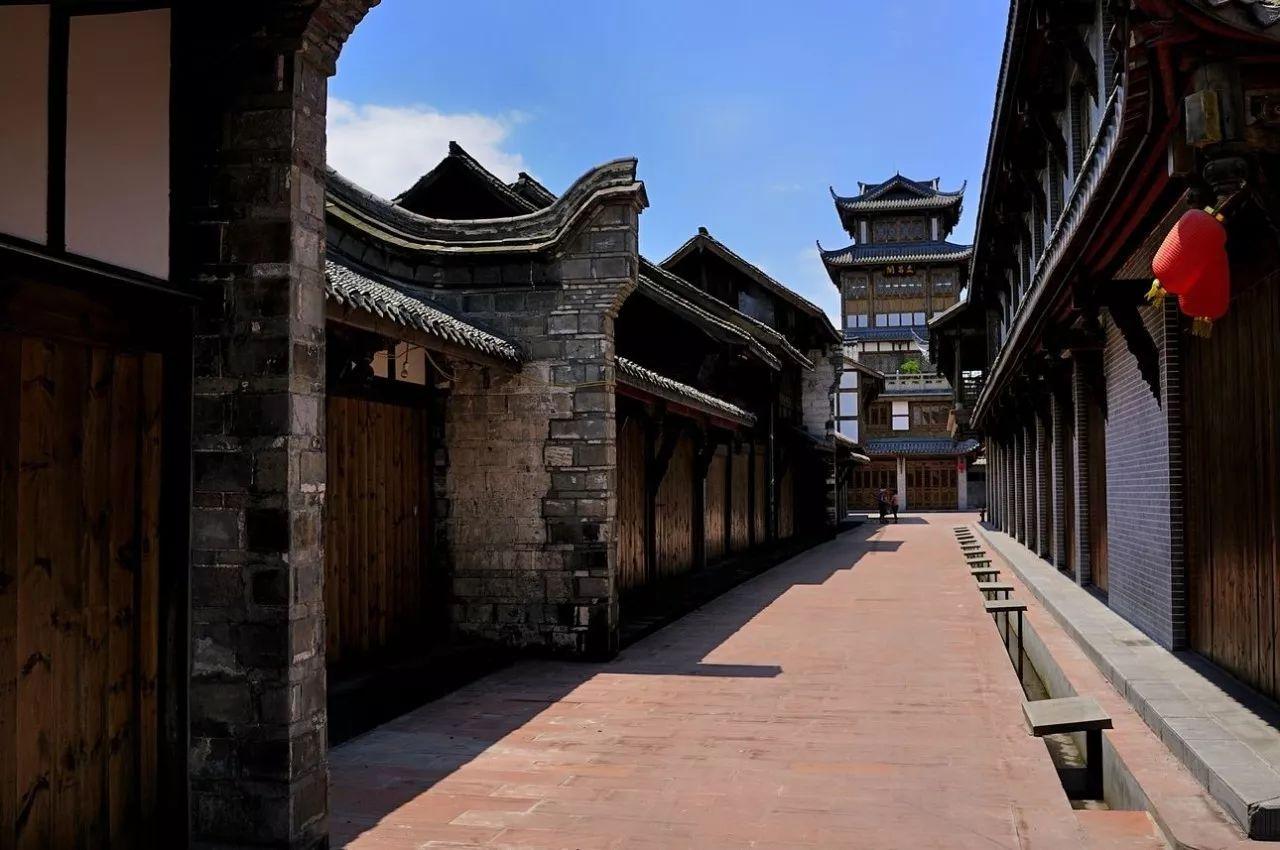 动物帮帮忙保卫家园