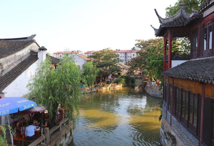 拯救小松鼠